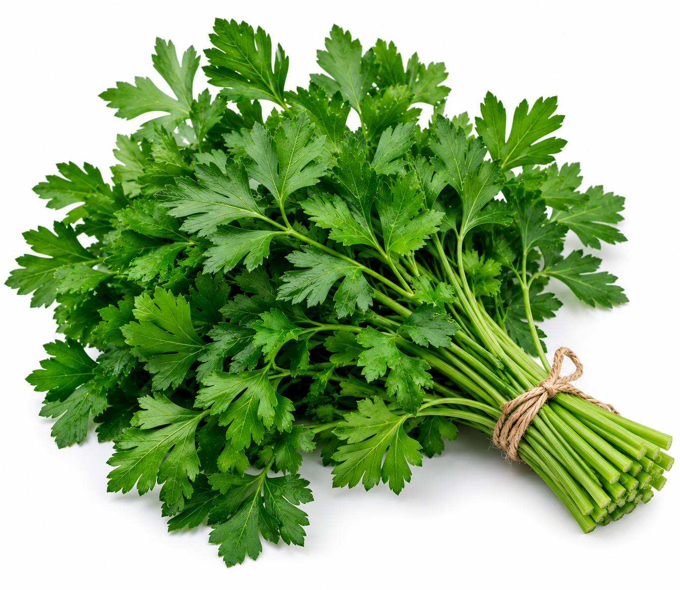 Fresh Parsley online in Jaipur